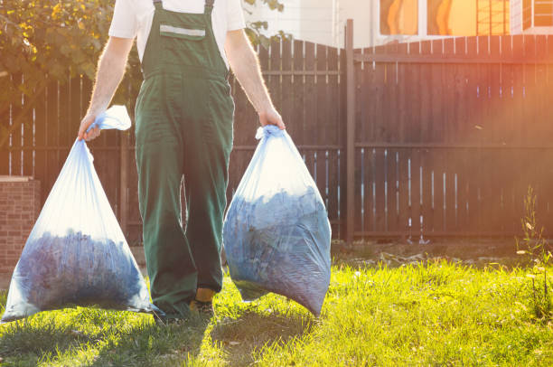 Best Affordable Junk Removal Services  in Wells, MN