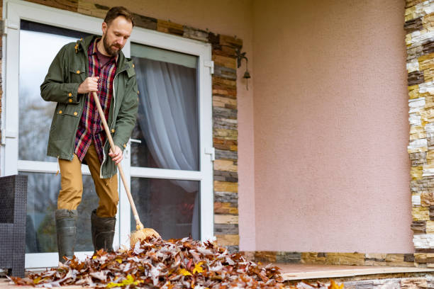 Best Commercial Cleanout Services  in Wells, MN