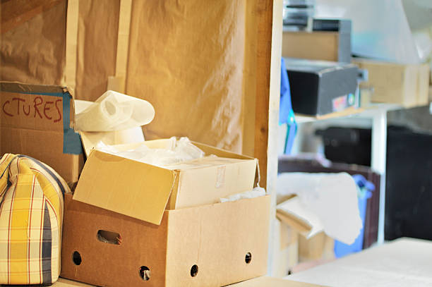 Best Household Junk Removal  in Wells, MN
